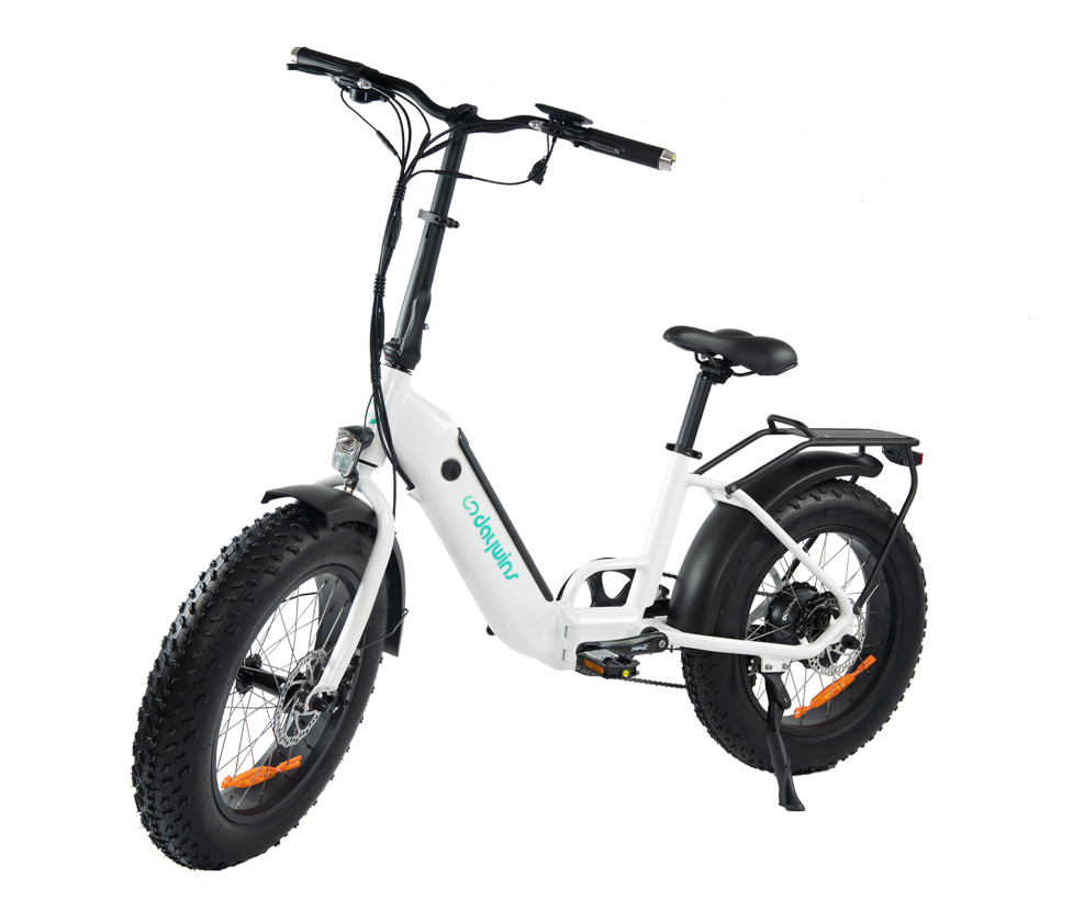 OEM Folding Mountain ebike 20*4.0inch electric bicycle 750W fat tire electric mountain bicycles - Daywins