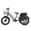 MG1703 Electric Fat Tricycle